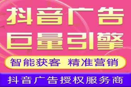 谷歌竞价案例：跨境电商广告投放策略